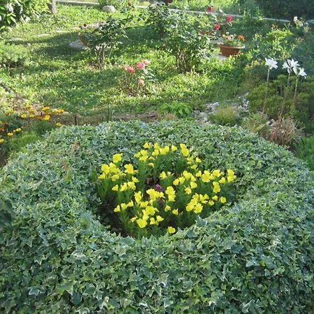 Ivan アパート ザダル