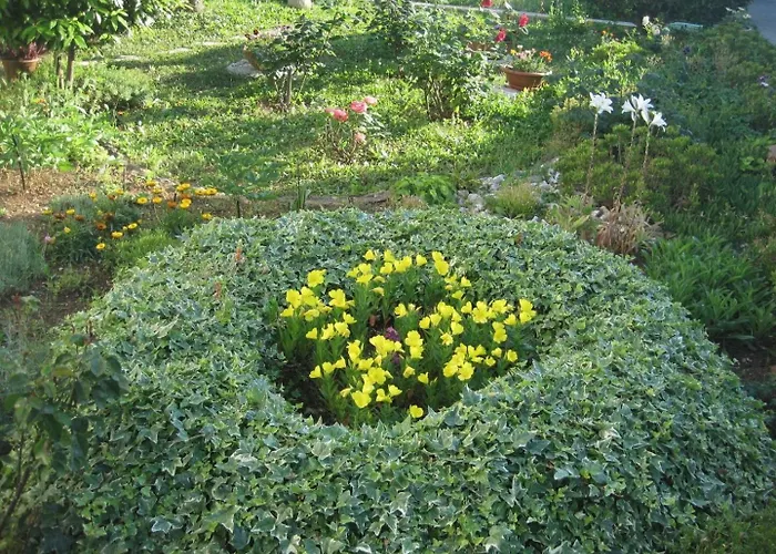 Ivan Lejlighed Zadar